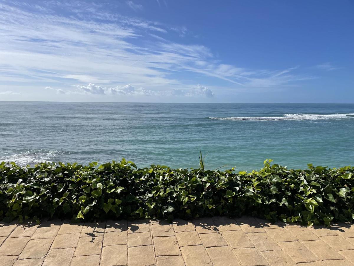 La Sirena Del Viento Bed & Breakfast Los Canos De Meca Ngoại thất bức ảnh